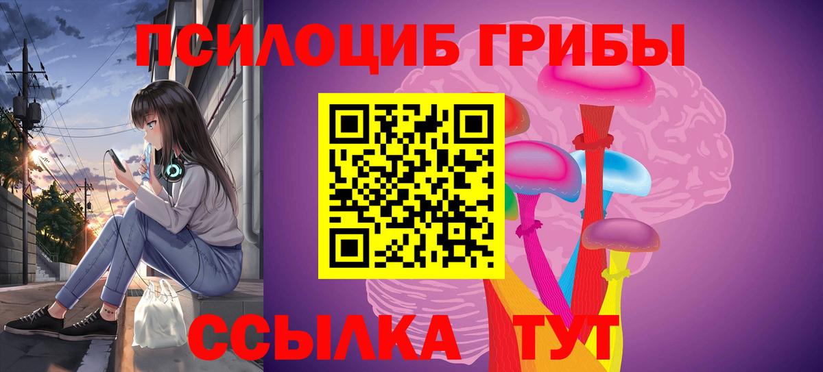 Псилоцибиновые грибы Cubensis Кулебаки