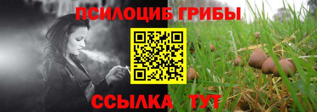 Галлюциногенные грибы прущие грибы  Галлюциногенные грибы MAGIC MUSHROOMS  даркнет сайт  Кулебаки  Вход с VPN 